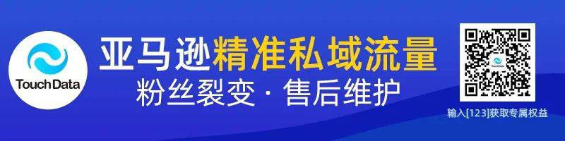 报告！发现十个小众宝藏跨境电商平台，有卖家偷偷爆单(跨境电商可行性报告)