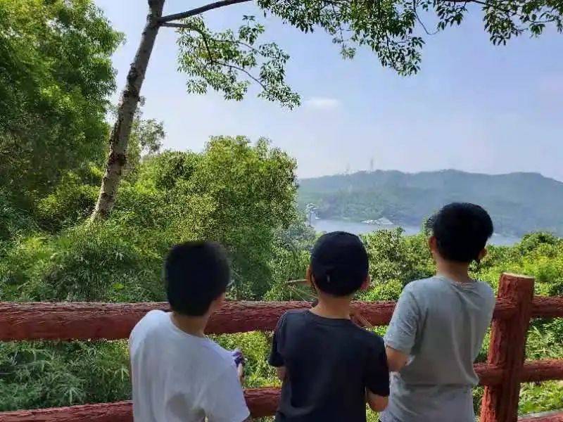3万跨境学童的悲歌：看不到头的网课，回不去的香港(跨境学童服务中心)
