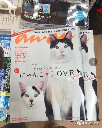 跨境电商日本宠物文化 爆款产品系列1 - 猫ベッド(野林猫跨境电商)