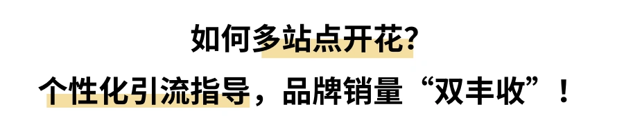 小卖变大卖什么刺激流量销量（可复制的亚马逊成功模式来了）